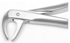 Extracting Forceps Lower Roots